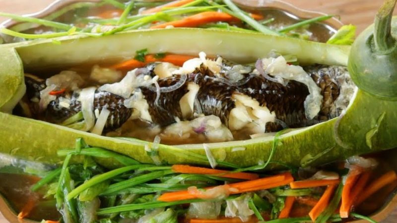 Cá lóc đồng hấp bầu – món ăn từ dân dã đến đặc sản nhà hàng