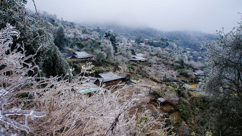 Cảnh đẹp hiếm thấy ở Tà Xùa – Băng tuyết phủ trắng xóa núi đồi