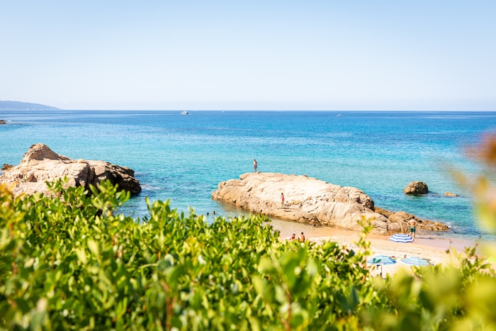 Corsica, một hòn đảo của Pháp, có 9 danh hiệu trồng rượu vang đạt chuẩn.
